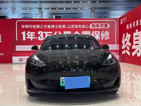 Tesla Model 3 2021