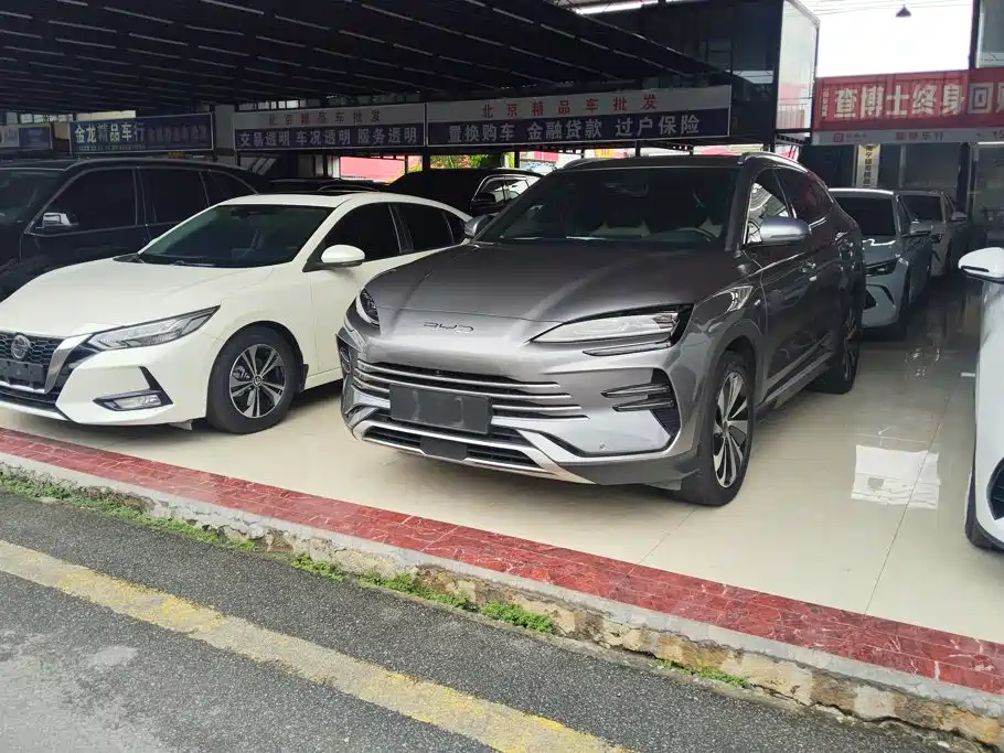 BYD Song PLUS New Energy 2024 — фото 1