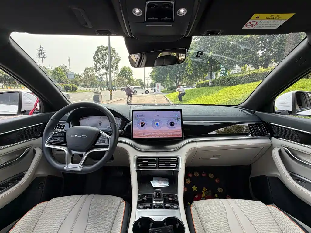 BYD Song PLUS New Energy 2024 — фото 13