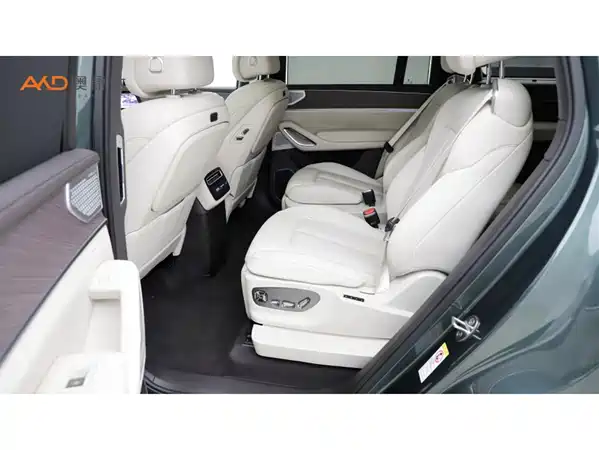 Denza N9 2025