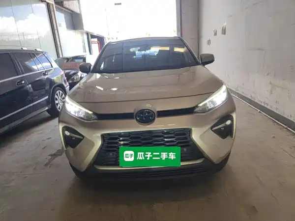 Toyota Wildlander 2020