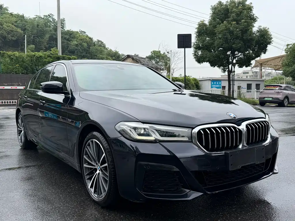 BMW 5 Series 2021