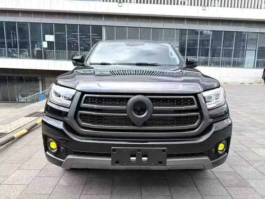 Great Wall Pao 2024