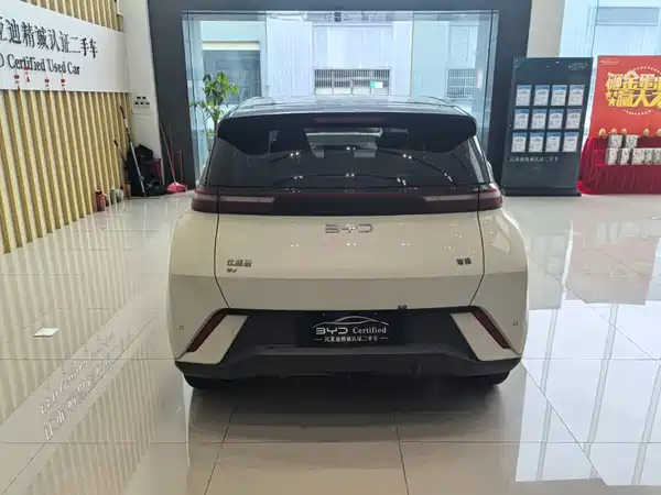BYD Seagull 2024