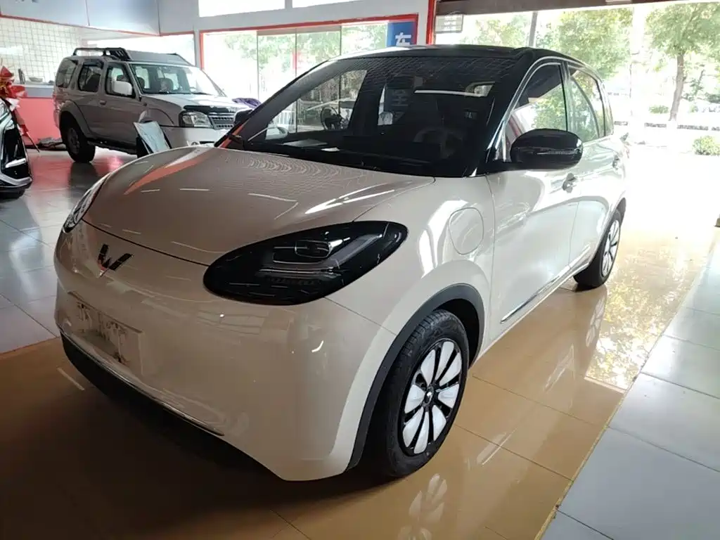 Wuling Bingo 2025