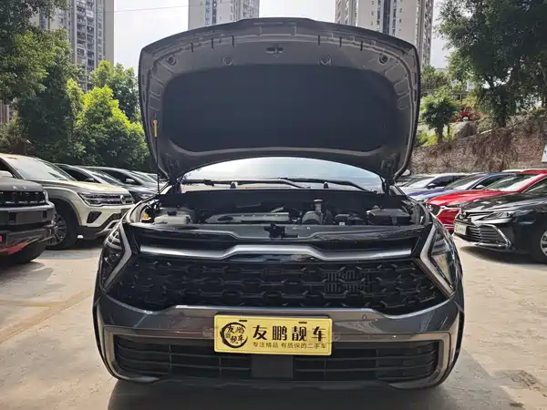 Kia Lion Platinum Expands The Boundary 2024