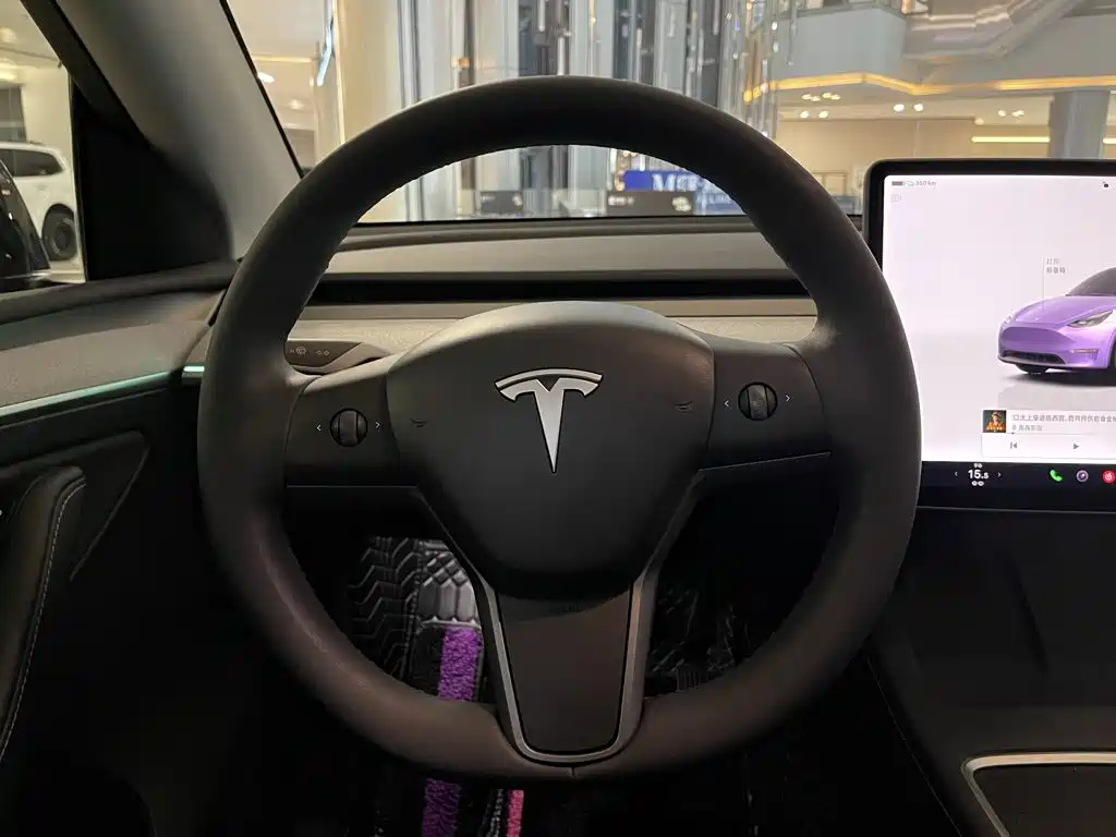Tesla Model Y 2024 — фото 14
