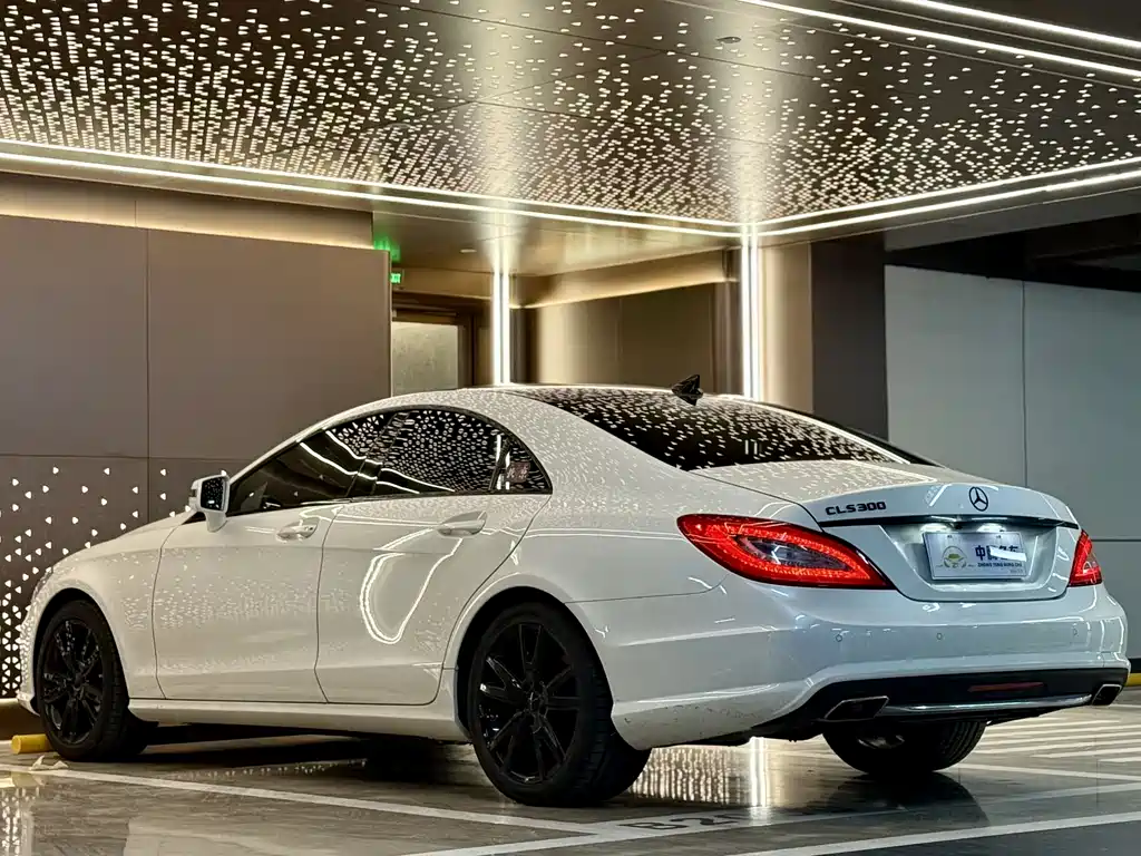 Mercedes-Benz CLS 2014 — фото 30