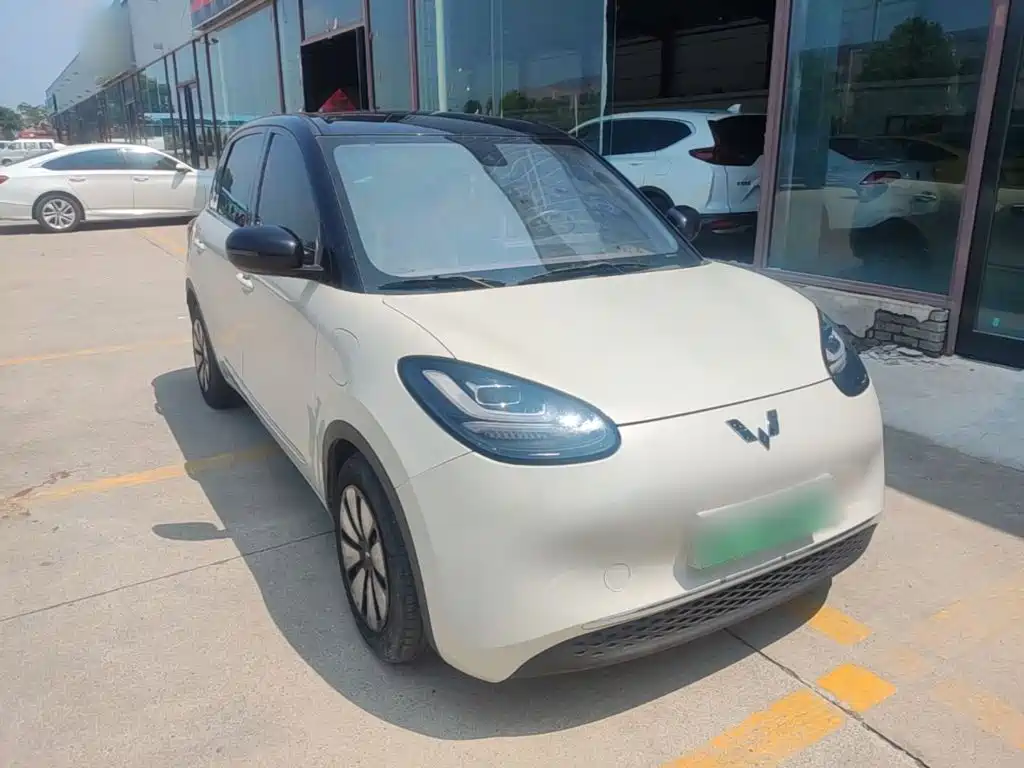 Wuling Bingo 2024