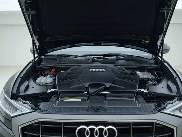 Audi Q8 2020