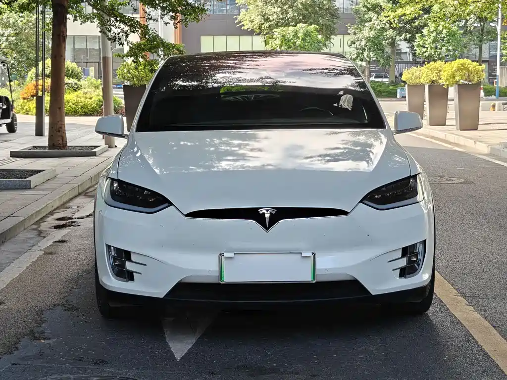 Tesla Model X 2017 — фото 3