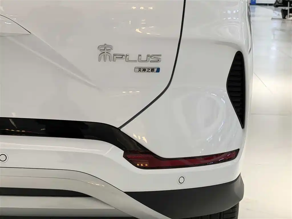 BYD PLUS New Energy 2025 — фото 11