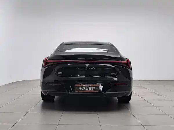 Neta S 2024