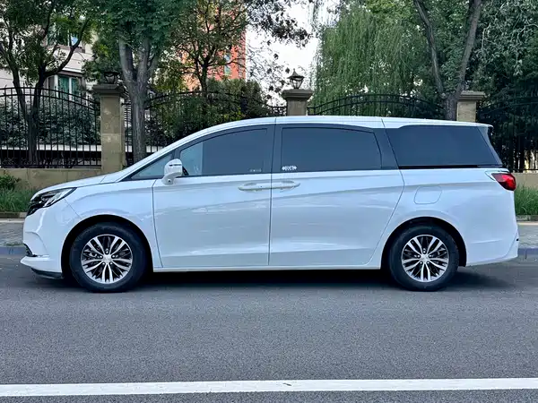 Buick GL8 2020