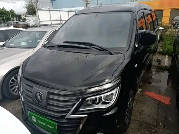 Dongfeng Lingzhi New Energy 2026