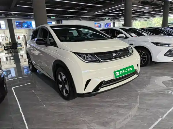 BYD Dolphin 2024
