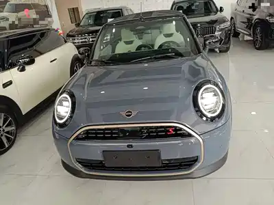 MINI MINI 2025