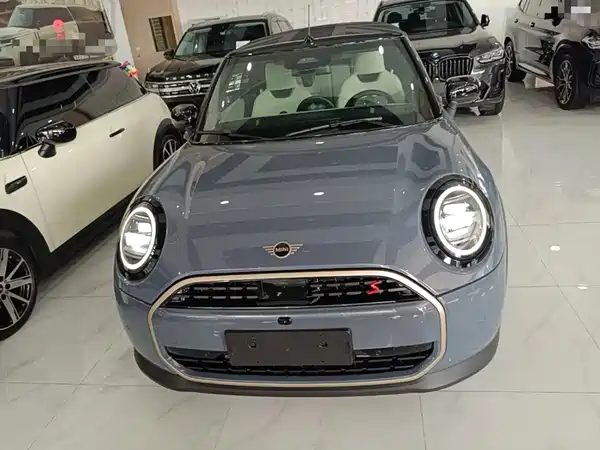 MINI MINI 2025