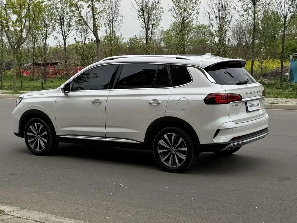 Roewe RX5 MAX 2020 — фото 6