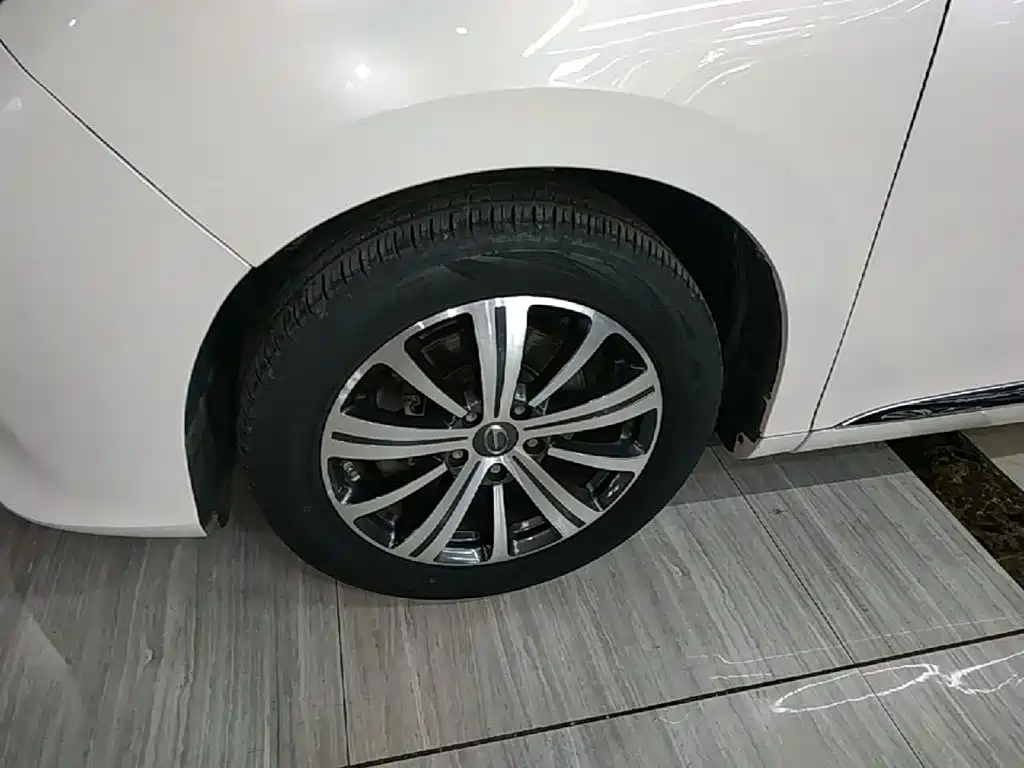 GAC Motor Trumpchi M8 2019 — фото 23