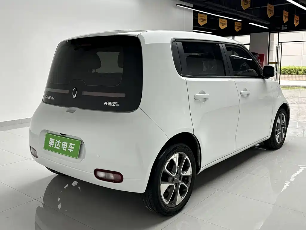 Ora White Cat 2021