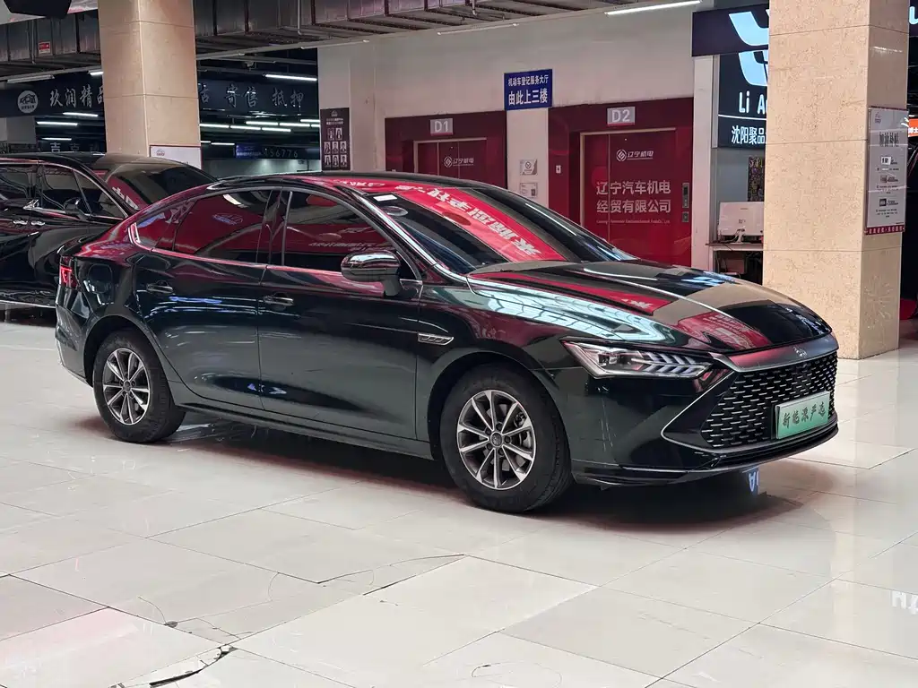 BYD Qin PLUS 2024 — фото 3