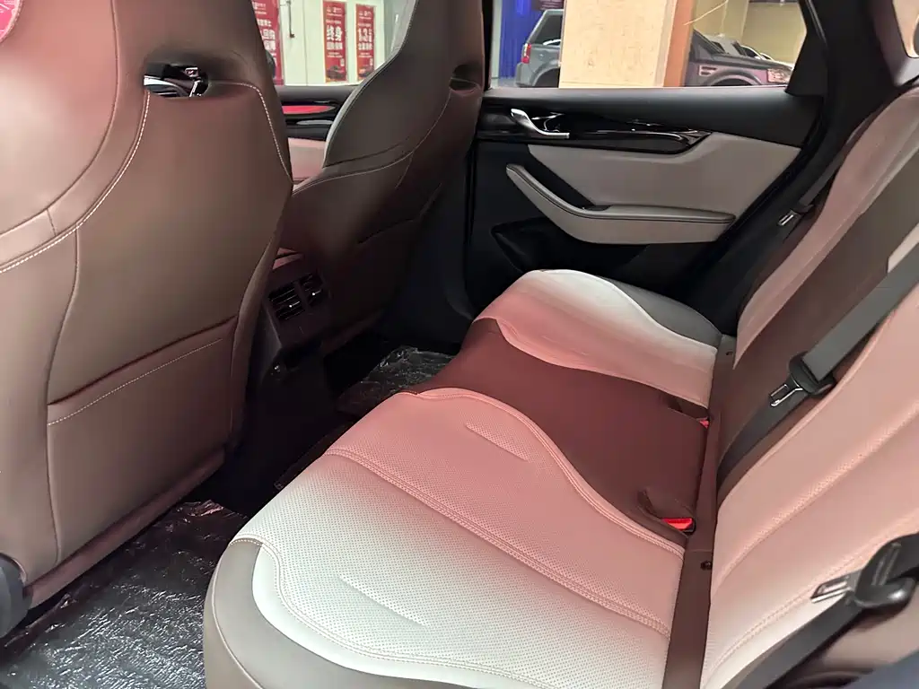 BYD Qin PLUS 2024 — фото 17