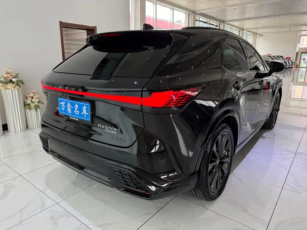 Lexus RX 2023 — фото 18