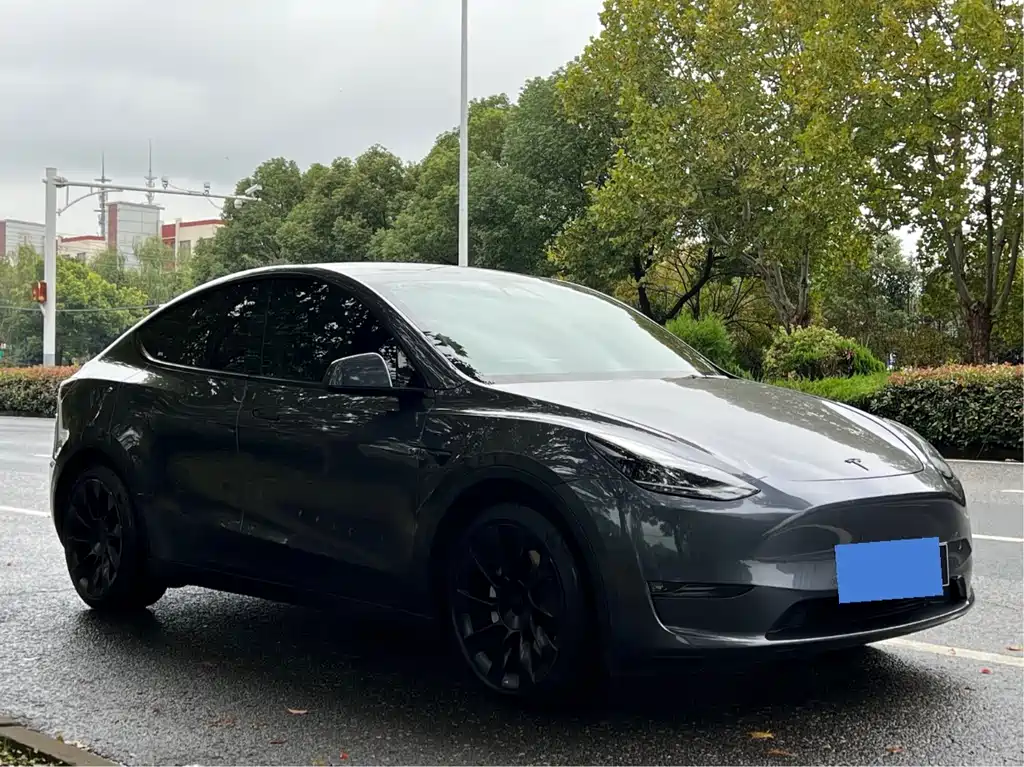 Tesla Model Y 2021 — фото 7