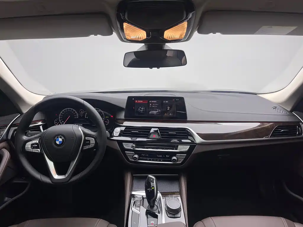 BMW 5 Series 2019 — фото 13