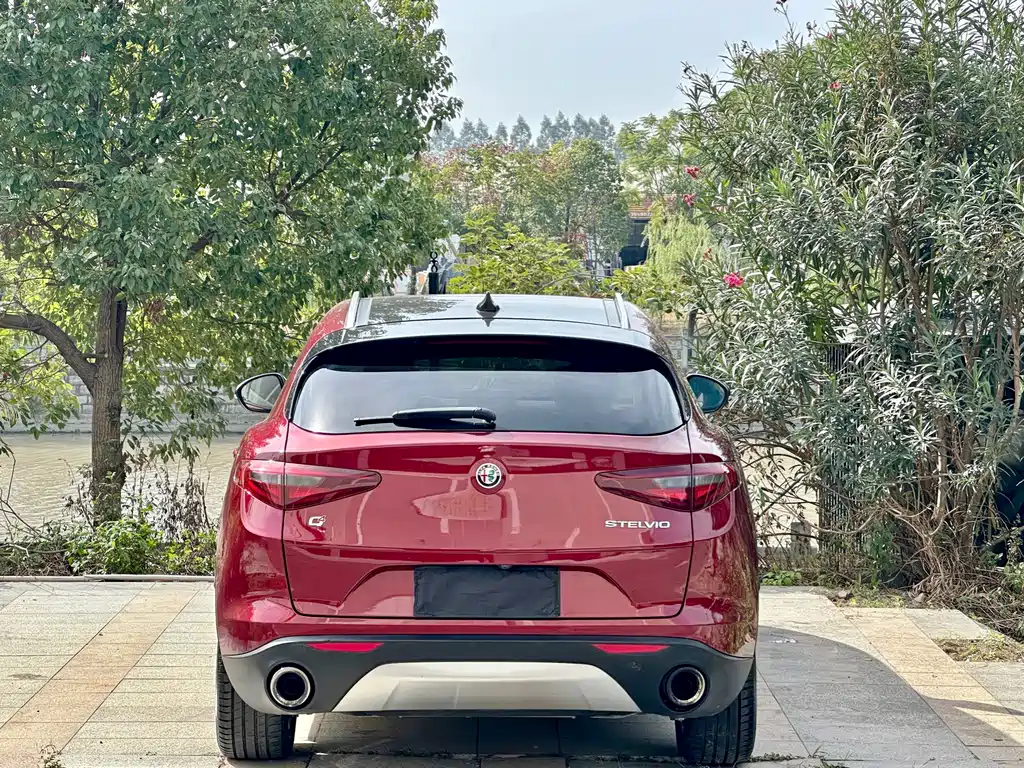 Alfa Romeo Stelvio 2017 — фото 5