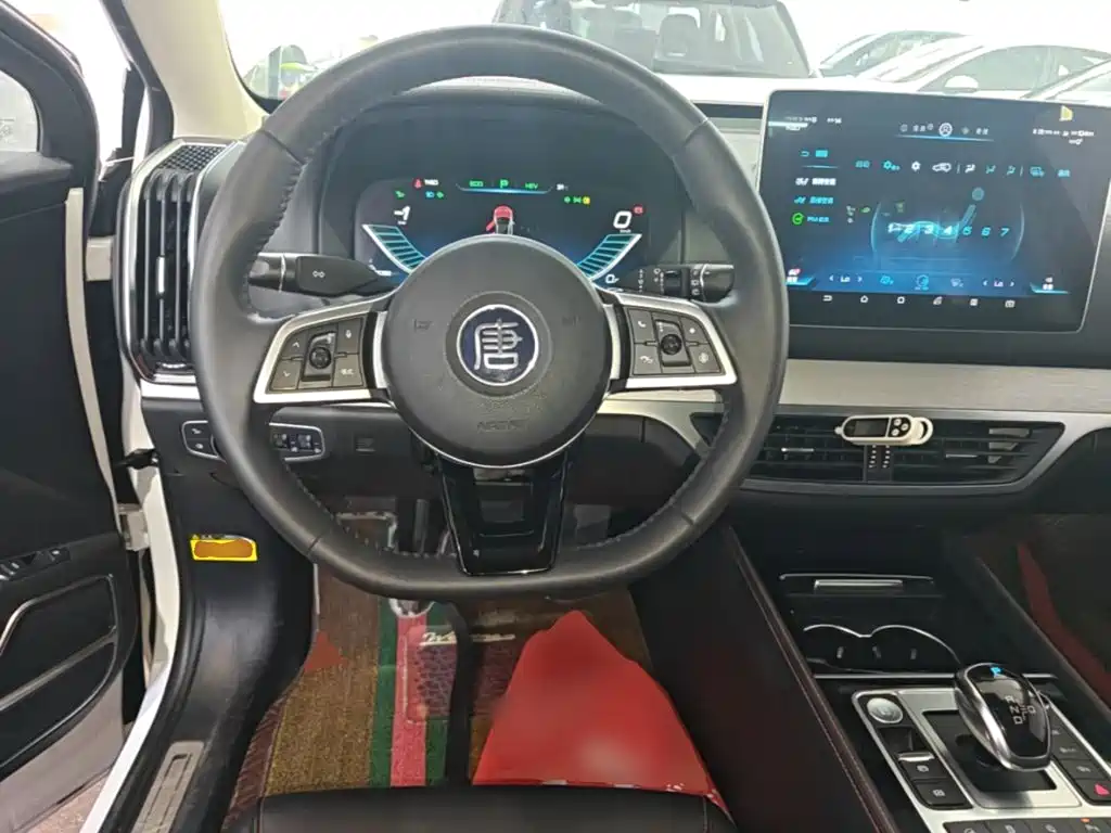 BYD Tang New Energy 2019 — фото 11