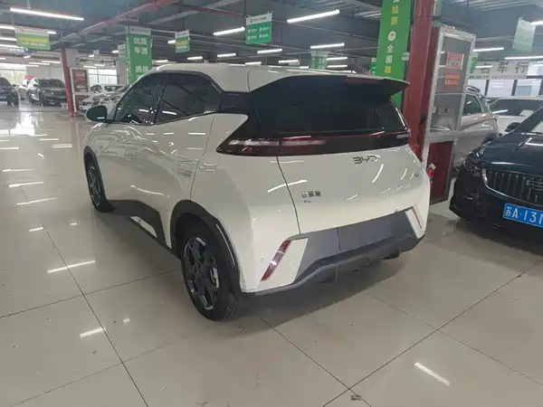 BYD Seagull 2024