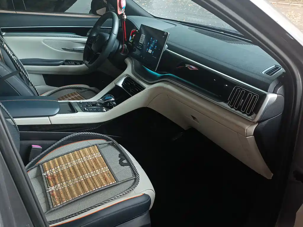 BYD PLUS New Energy 2022 — фото 11