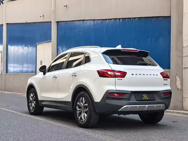 Borgward BX5 2021