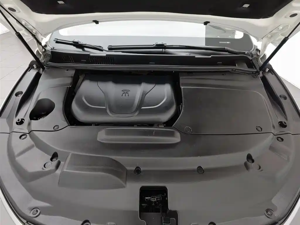BYD MAX 2018