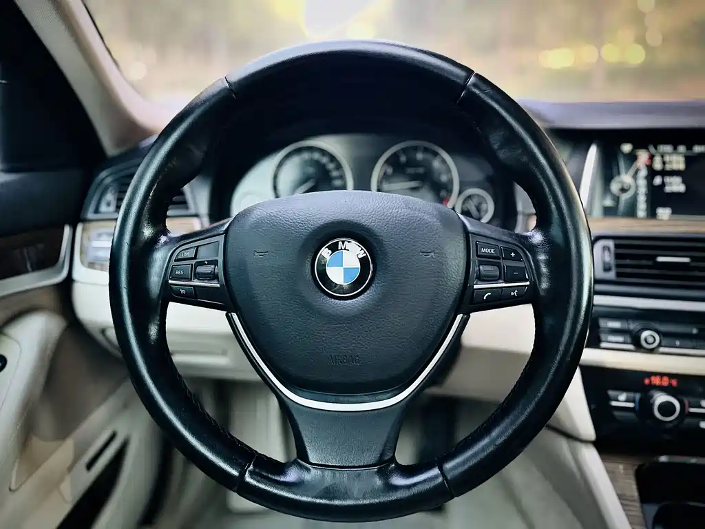 BMW 5 Series 2014 — фото 11