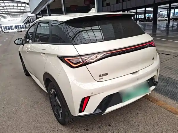 BYD Dolphin 2022