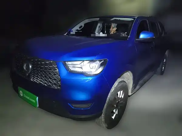 Great Wall Poer 2020