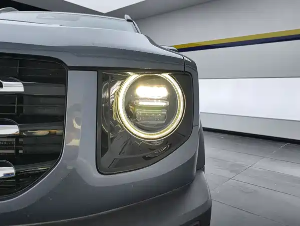 Haval Dargo 2021