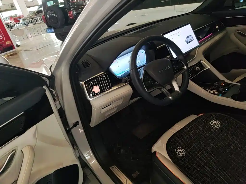 BYD Song PLUS New Energy 2023 — фото 16