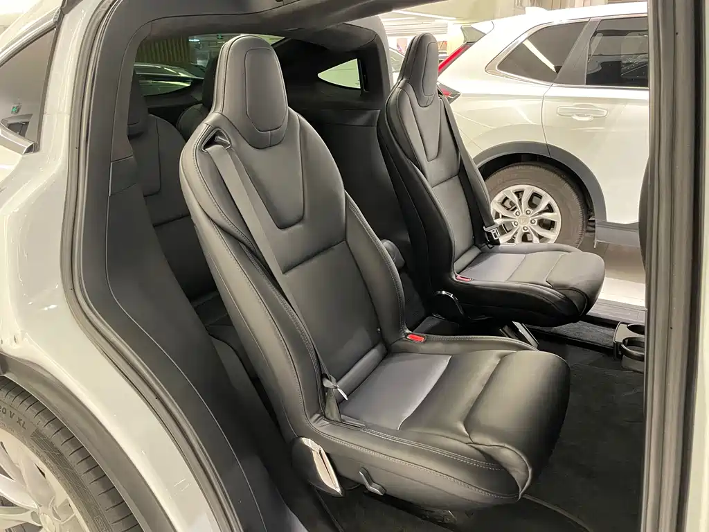 Tesla Model X 2019 — фото 12