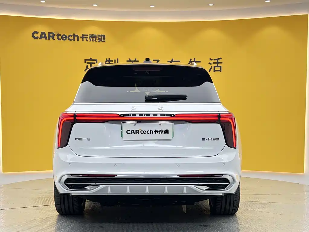Hongqi E-HS9 2023 — фото 36