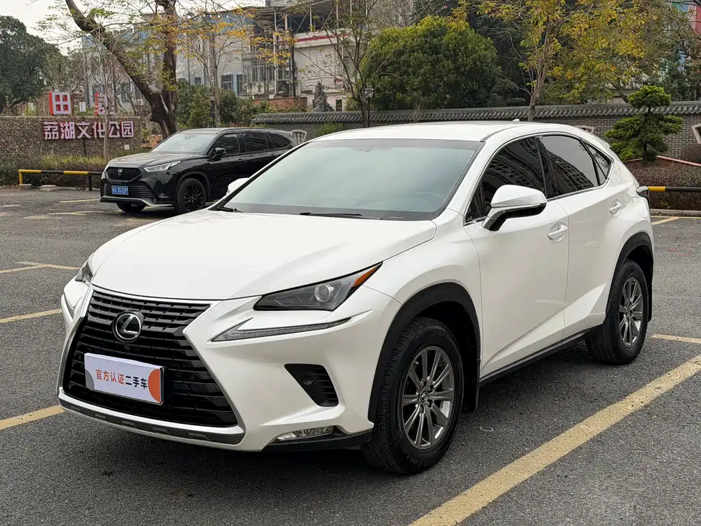 Lexus NX 2019 — фото 1