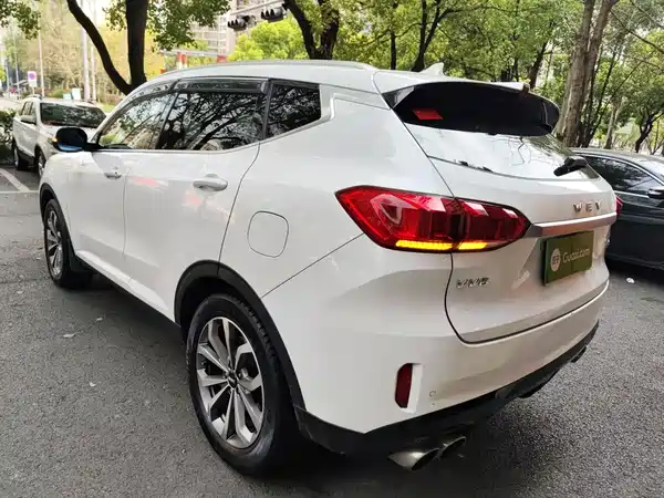 Wey VV6 2019