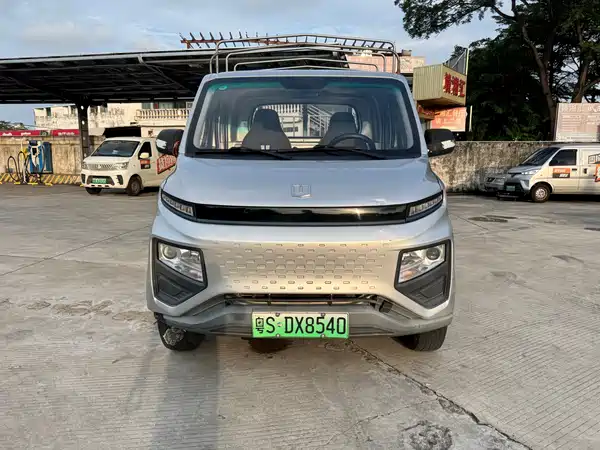 Farizon F1E 2024