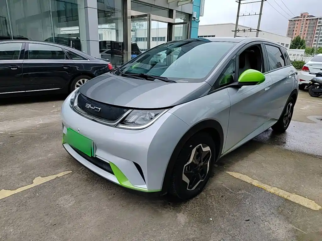 BYD Dolphin 2022