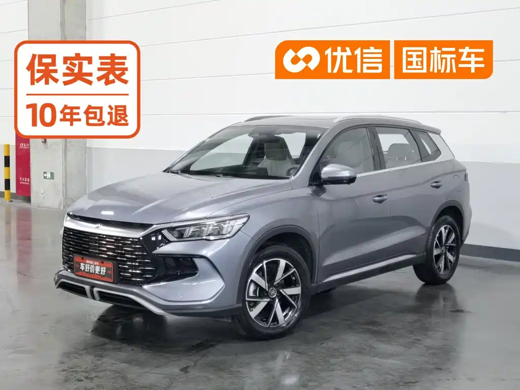 BYD Song Pro New Energy 2024 — фото 1