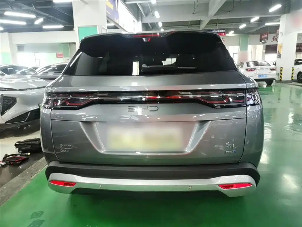 BYD L DM-i 2025 — фото 6