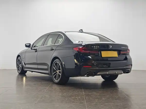 BMW 5 Series New Energy 2021